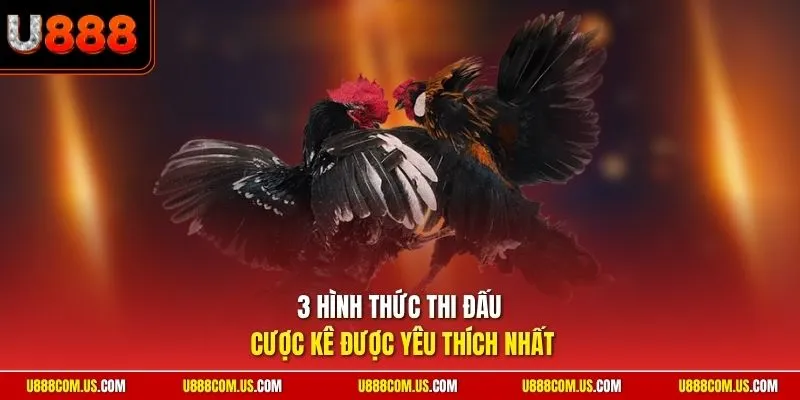 3 hình thức thi đấu cược kê được yêu thích nhất