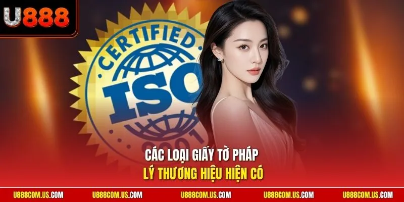 Các loại giấy tờ pháp lý thương hiệu hiện có