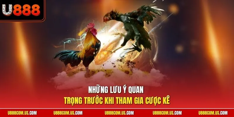 Những lưu ý quan trọng trước khi tham gia cược kê 